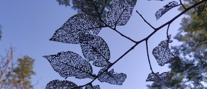 AllegoryNude2025sept scaled